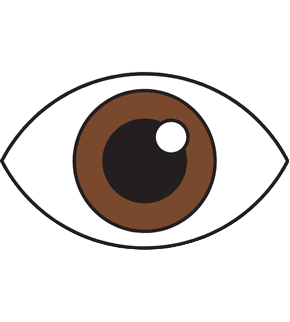 eyeball